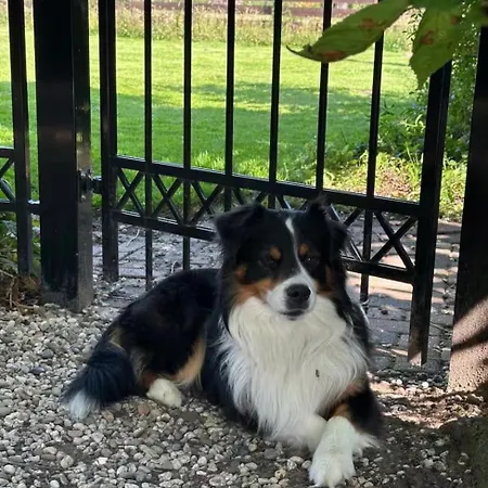 Kleinholthof Villa *